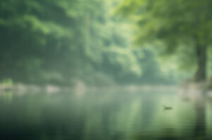 Обучение Рейки
Первая ступень