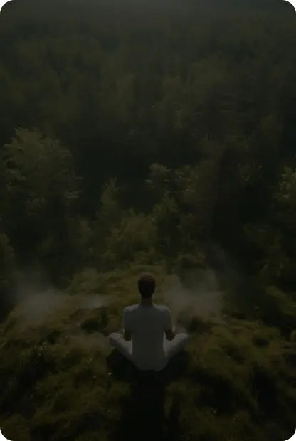 Индивидуальная консультация