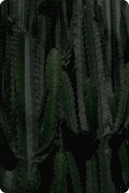 Индивидуальная цепочка напряжения