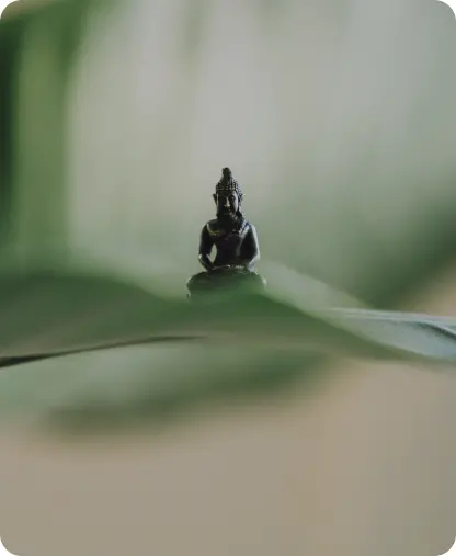 Научитесь медитировать и управлять вниманием